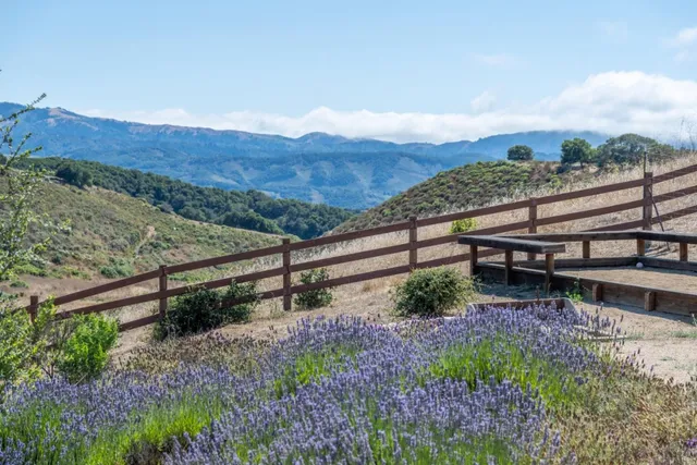 a view of a backyard with sitting area