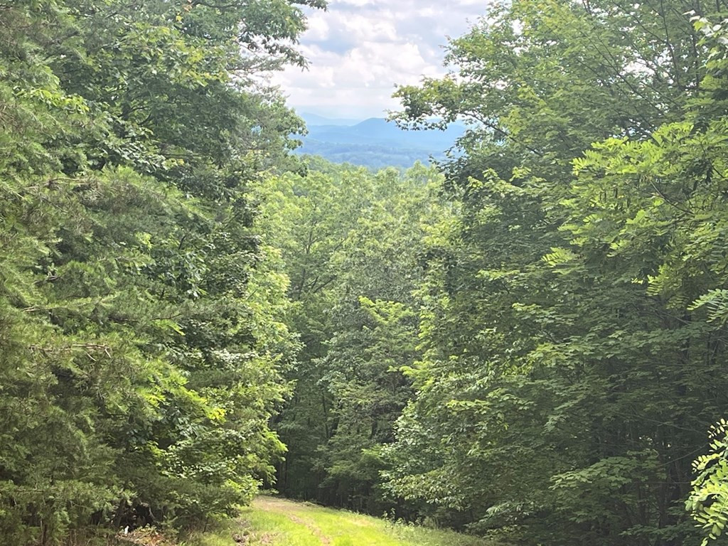 Lot 49 Burger Road Murphy, NC 28906 - Photo 6 of 7
