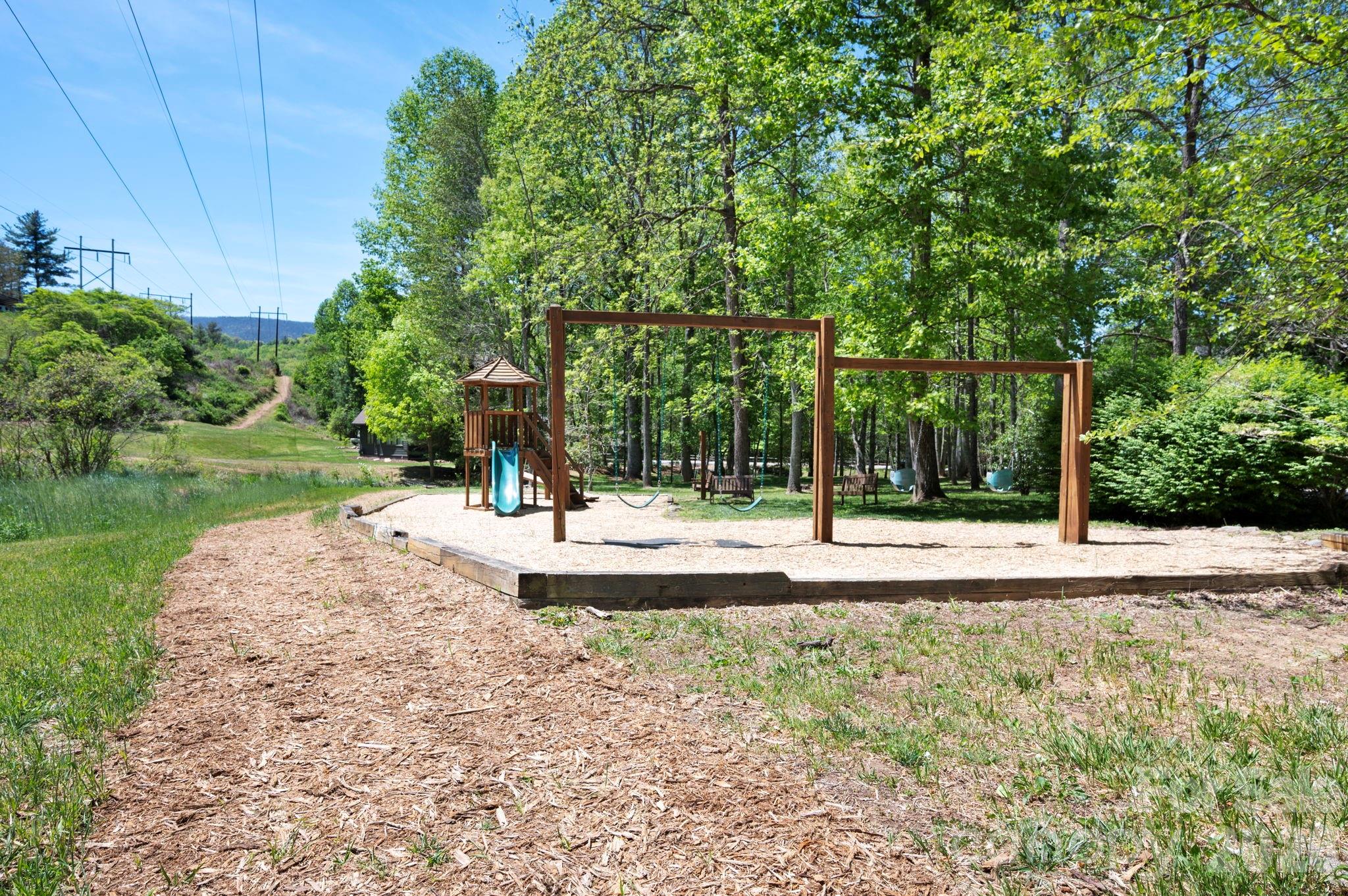 4 Fitzgerald Road Black Mountain, NC 28711 - Photo 26 of 43 a view of a park with large trees
