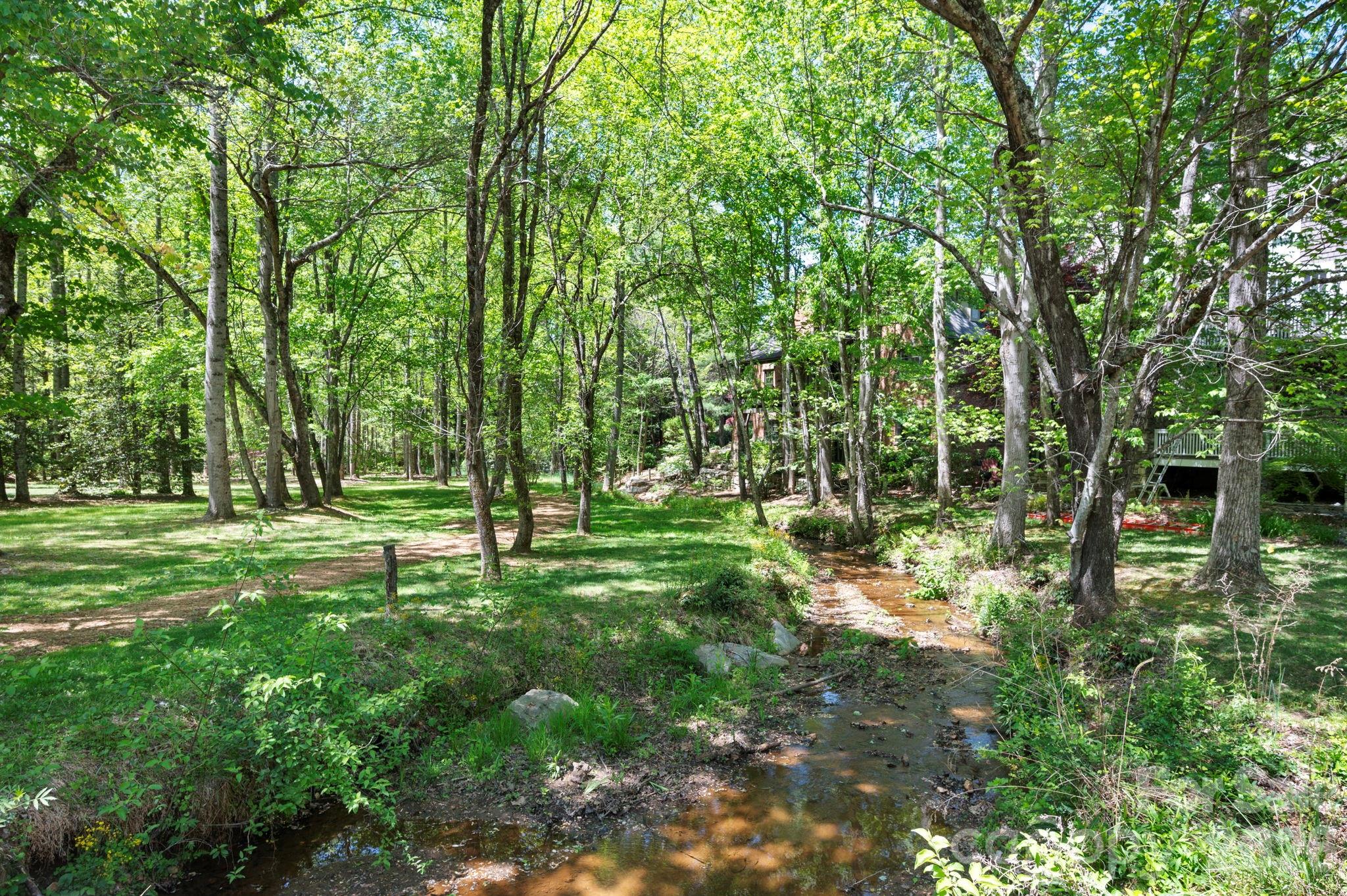 4 Fitzgerald Road Black Mountain, NC 28711 - Photo 27 of 43 a big yard with lots of green space and trees