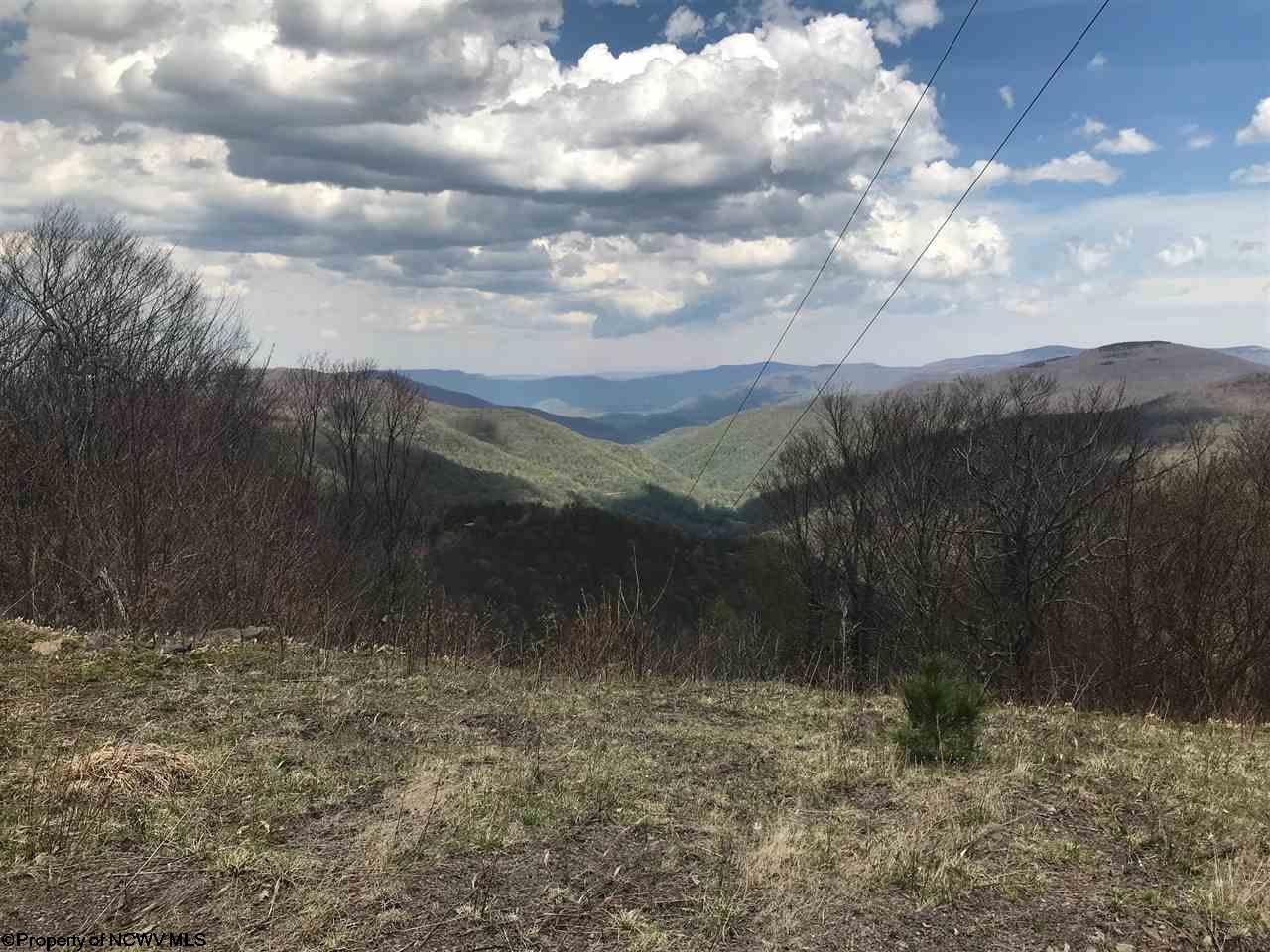 0 Haines Knob Road Harman, WV 26270 - Photo 5 of 20 Gallery Image 5