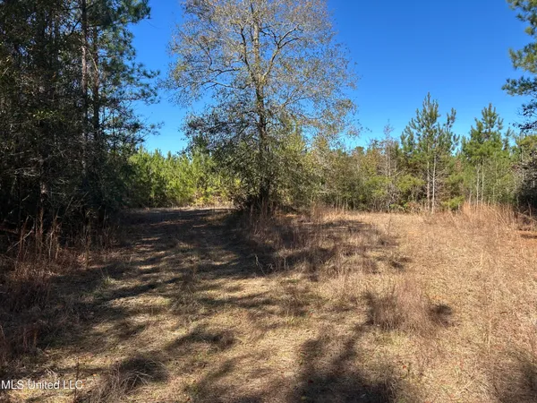 $250,000 | . Dwain Road, Osyka, MS 39657