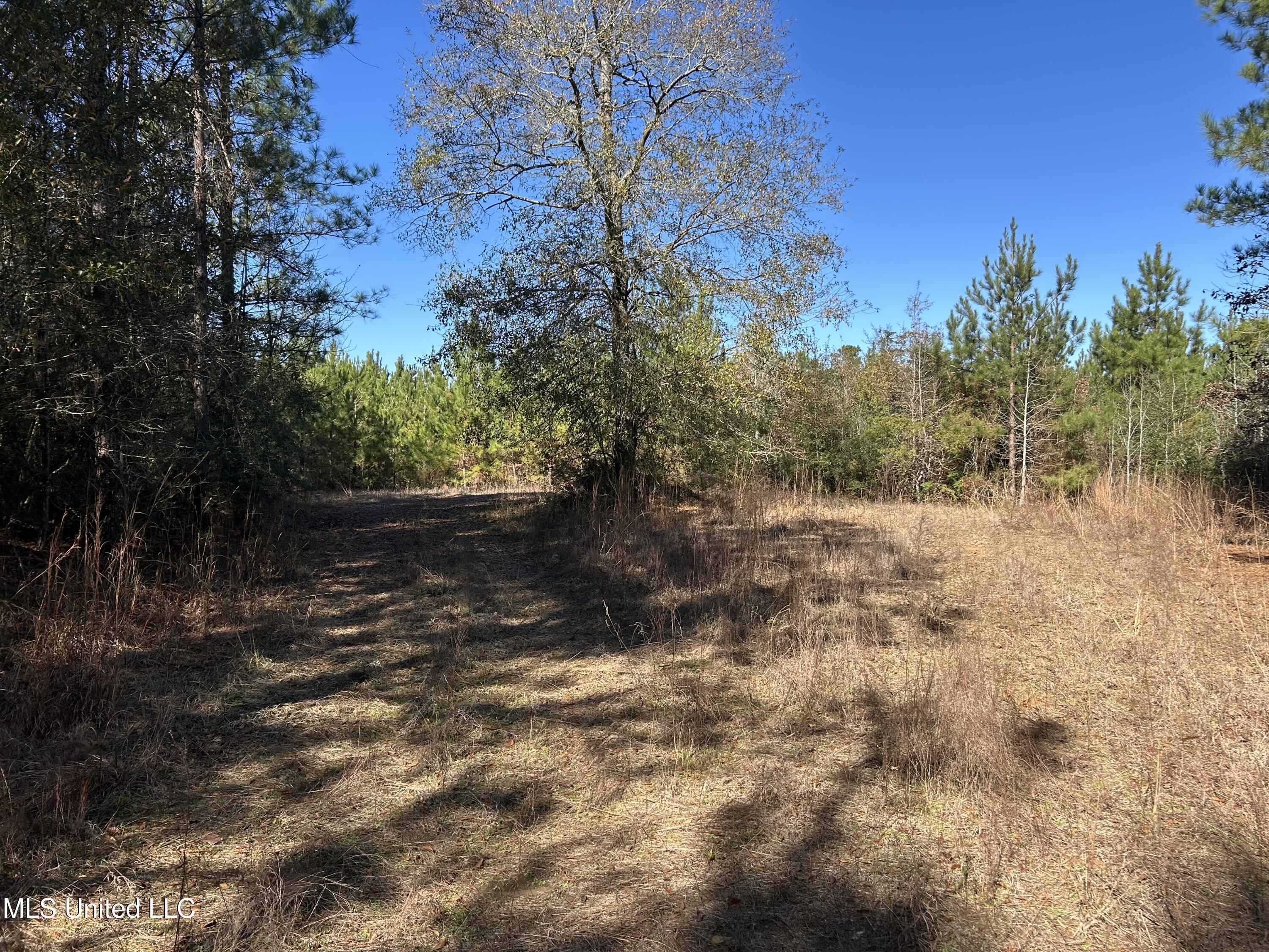 . Dwain Road Osyka, MS 39657 - Photo 11 of 31 IMG_1440