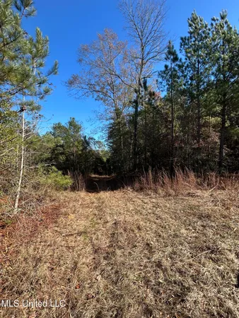 $250,000 | . Dwain Road, Osyka, MS 39657