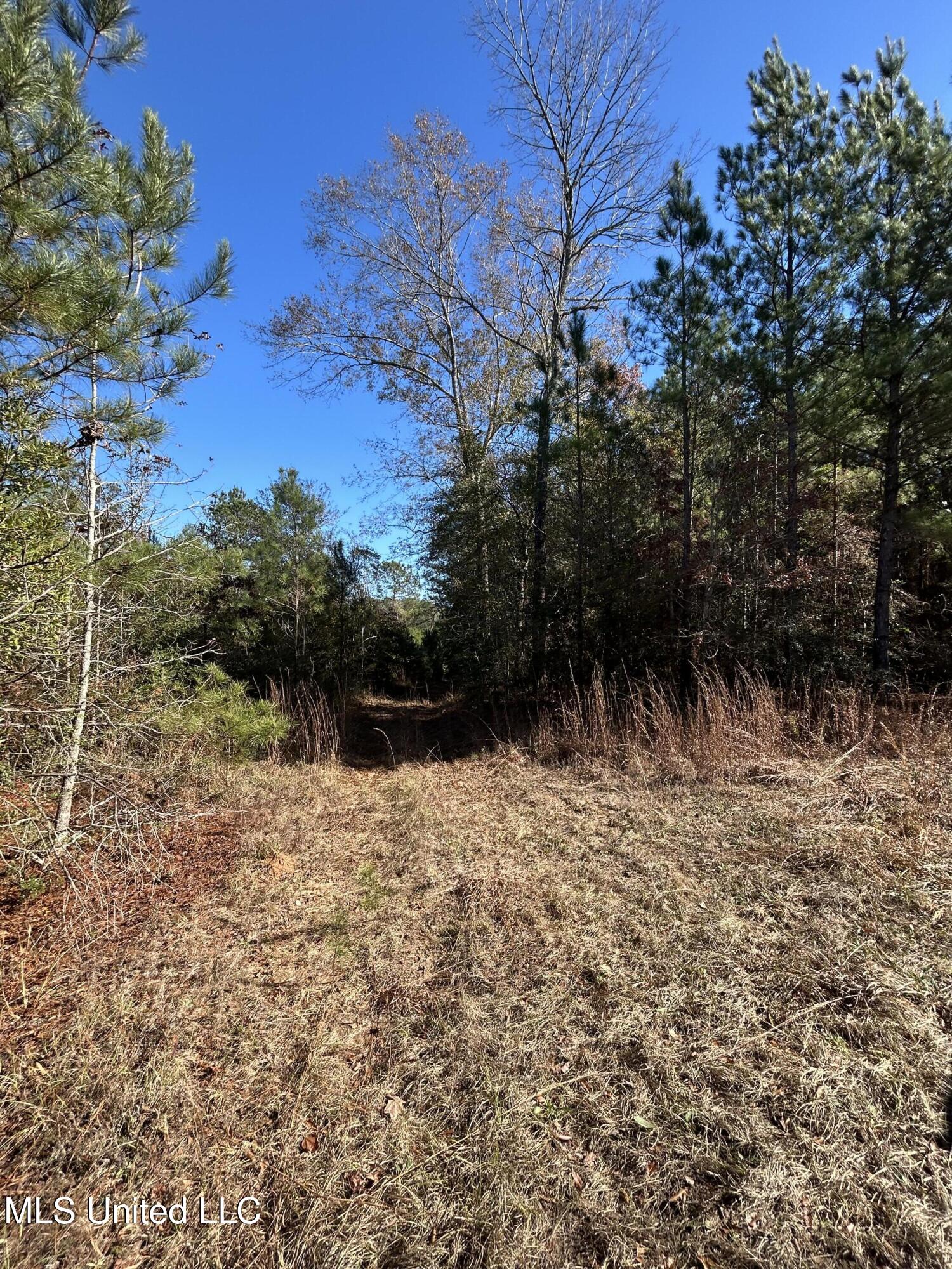 . Dwain Road Osyka, MS 39657 - Photo 12 of 31 IMG_1442
