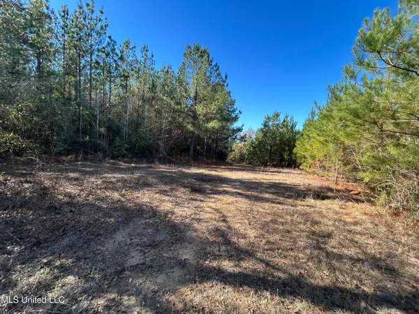 $250,000 | . Dwain Road, Osyka, MS 39657