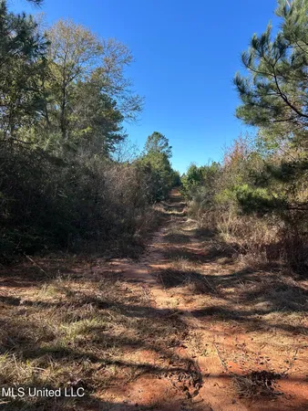 $250,000 | . Dwain Road, Osyka, MS 39657