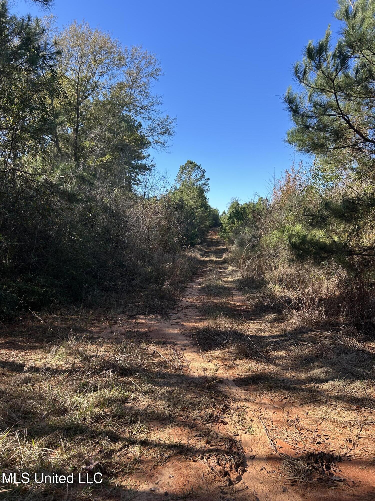 . Dwain Road Osyka, MS 39657 - Photo 14 of 31 IMG_1446