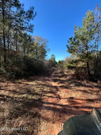 $250,000 | . Dwain Road, Osyka, MS 39657