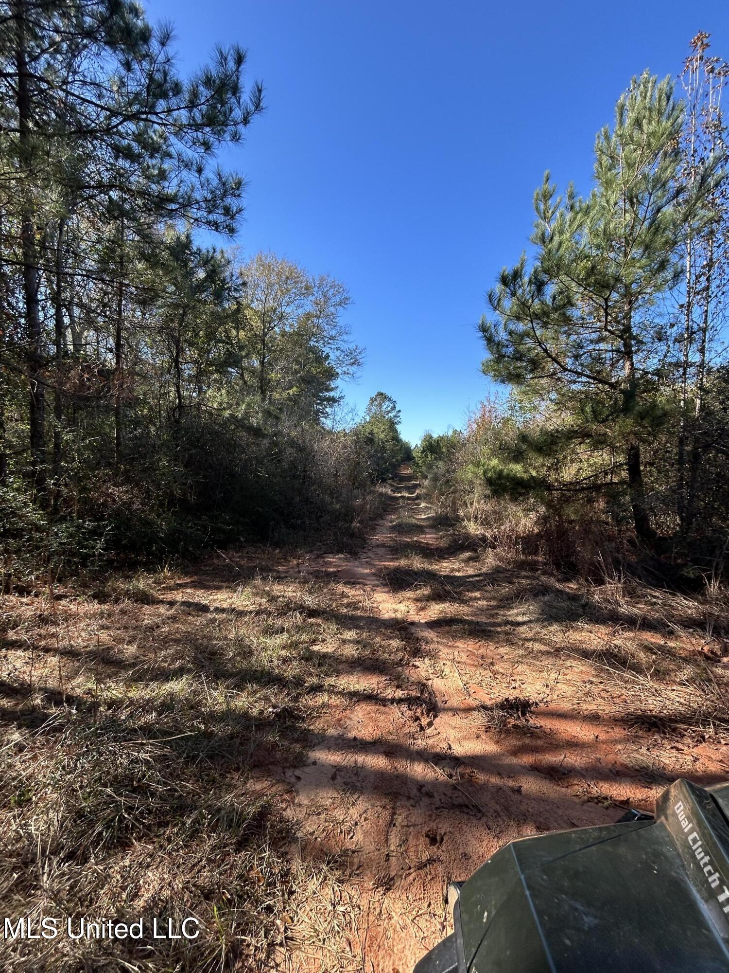 . Dwain Road Osyka, MS 39657 - Photo 15 of 31 IMG_1447