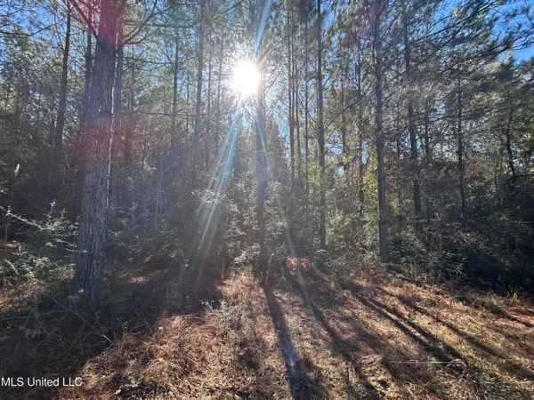 $250,000 | . Dwain Road, Osyka, MS 39657