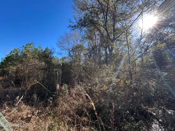 $250,000 | . Dwain Road, Osyka, MS 39657