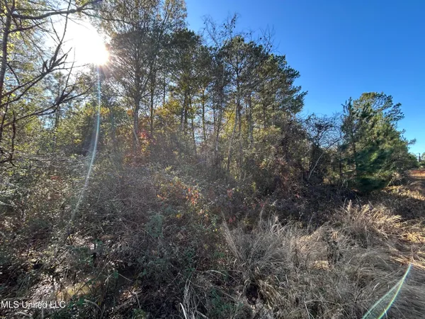 $250,000 | . Dwain Road, Osyka, MS 39657