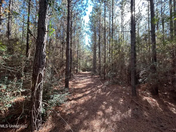 $250,000 | . Dwain Road, Osyka, MS 39657