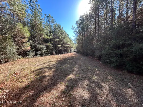 $250,000 | . Dwain Road, Osyka, MS 39657