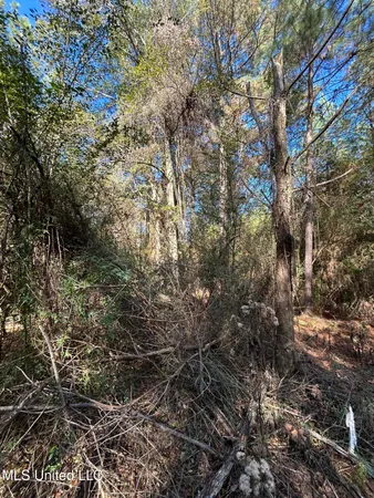 $250,000 | . Dwain Road, Osyka, MS 39657