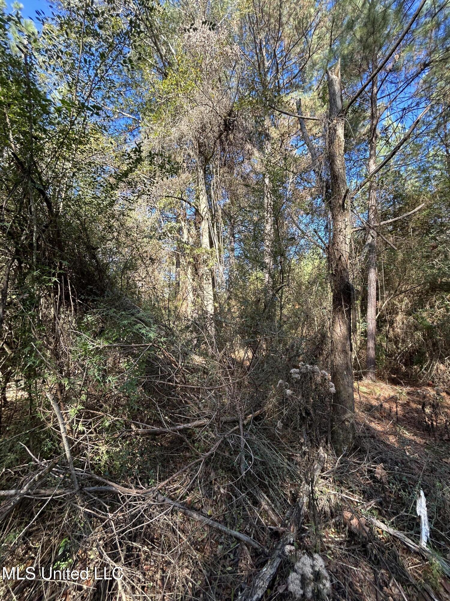 . Dwain Road Osyka, MS 39657 - Photo 2 of 31 IMG_1477