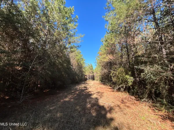 $250,000 | . Dwain Road, Osyka, MS 39657