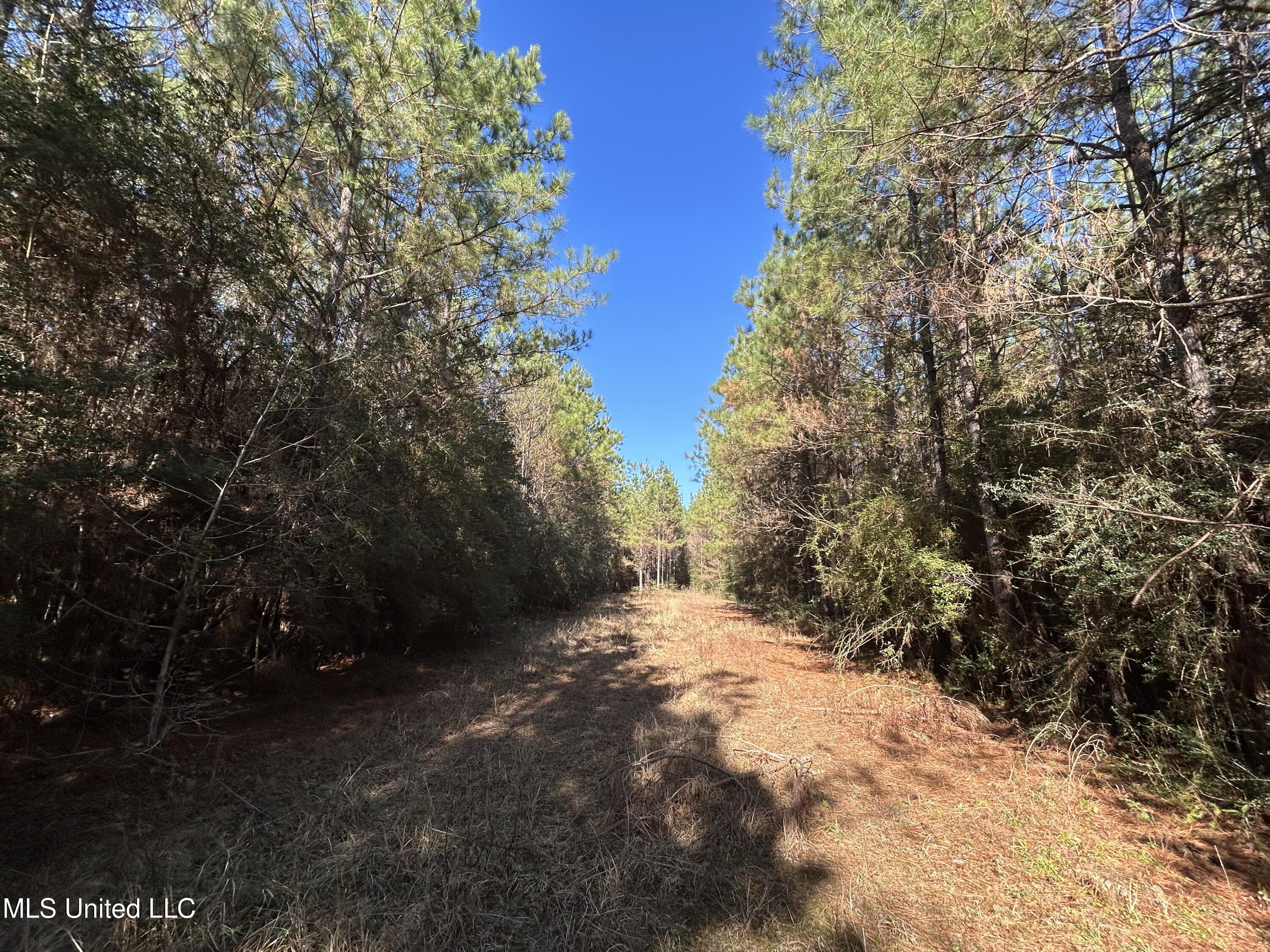 . Dwain Road Osyka, MS 39657 - Photo 21 of 31 IMG_1461