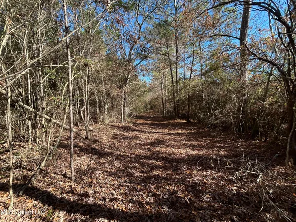 $250,000 | . Dwain Road, Osyka, MS 39657