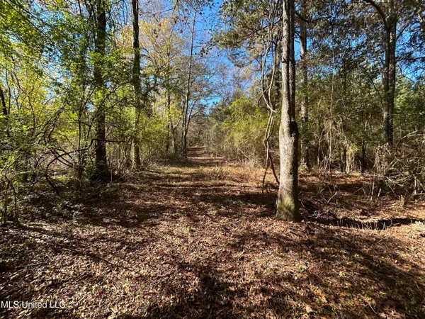 $250,000 | . Dwain Road, Osyka, MS 39657