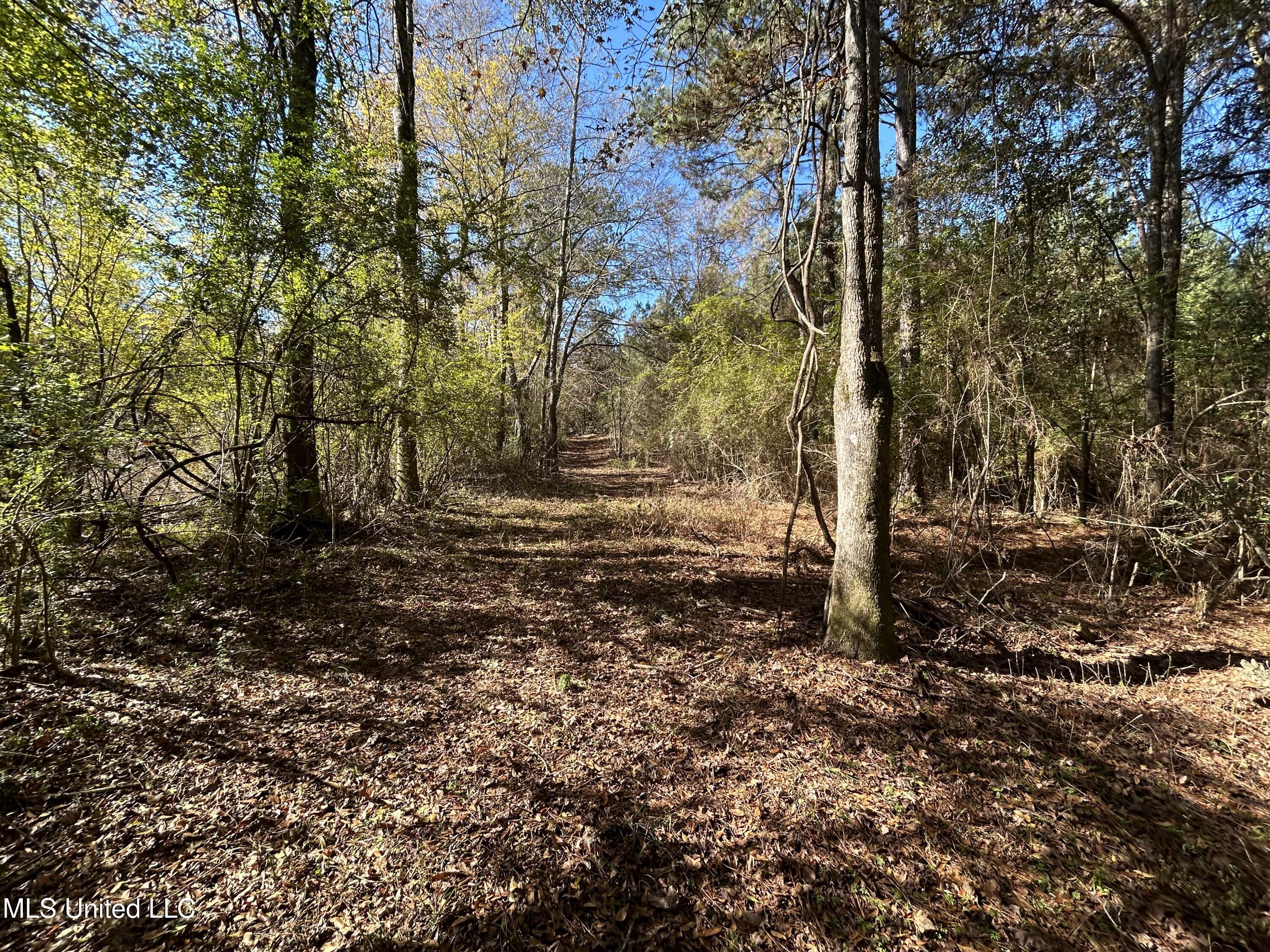 . Dwain Road Osyka, MS 39657 - Photo 24 of 31 IMG_1471