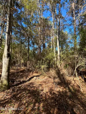 $250,000 | . Dwain Road, Osyka, MS 39657