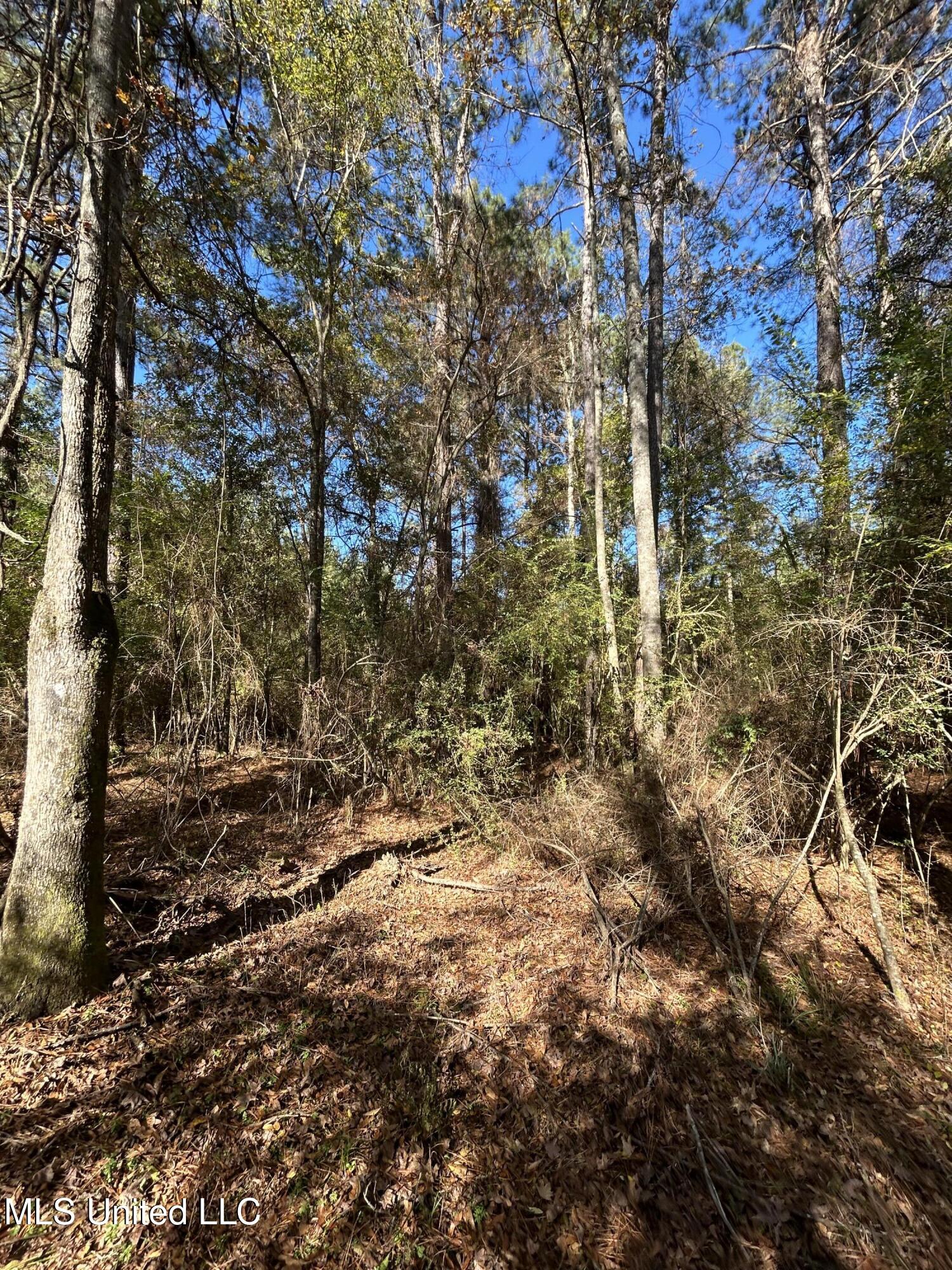 . Dwain Road Osyka, MS 39657 - Photo 25 of 31 IMG_1473