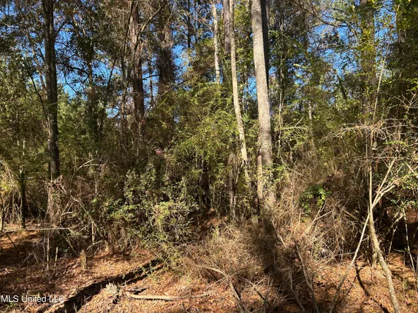 $250,000 | . Dwain Road, Osyka, MS 39657