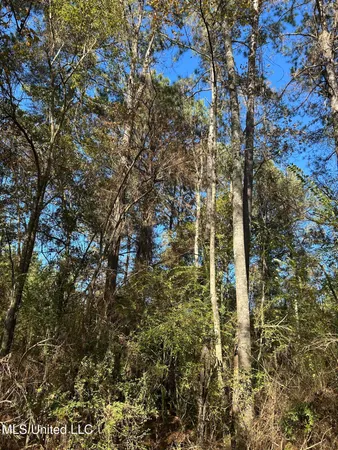 $250,000 | . Dwain Road, Osyka, MS 39657