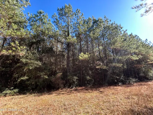 $250,000 | . Dwain Road, Osyka, MS 39657