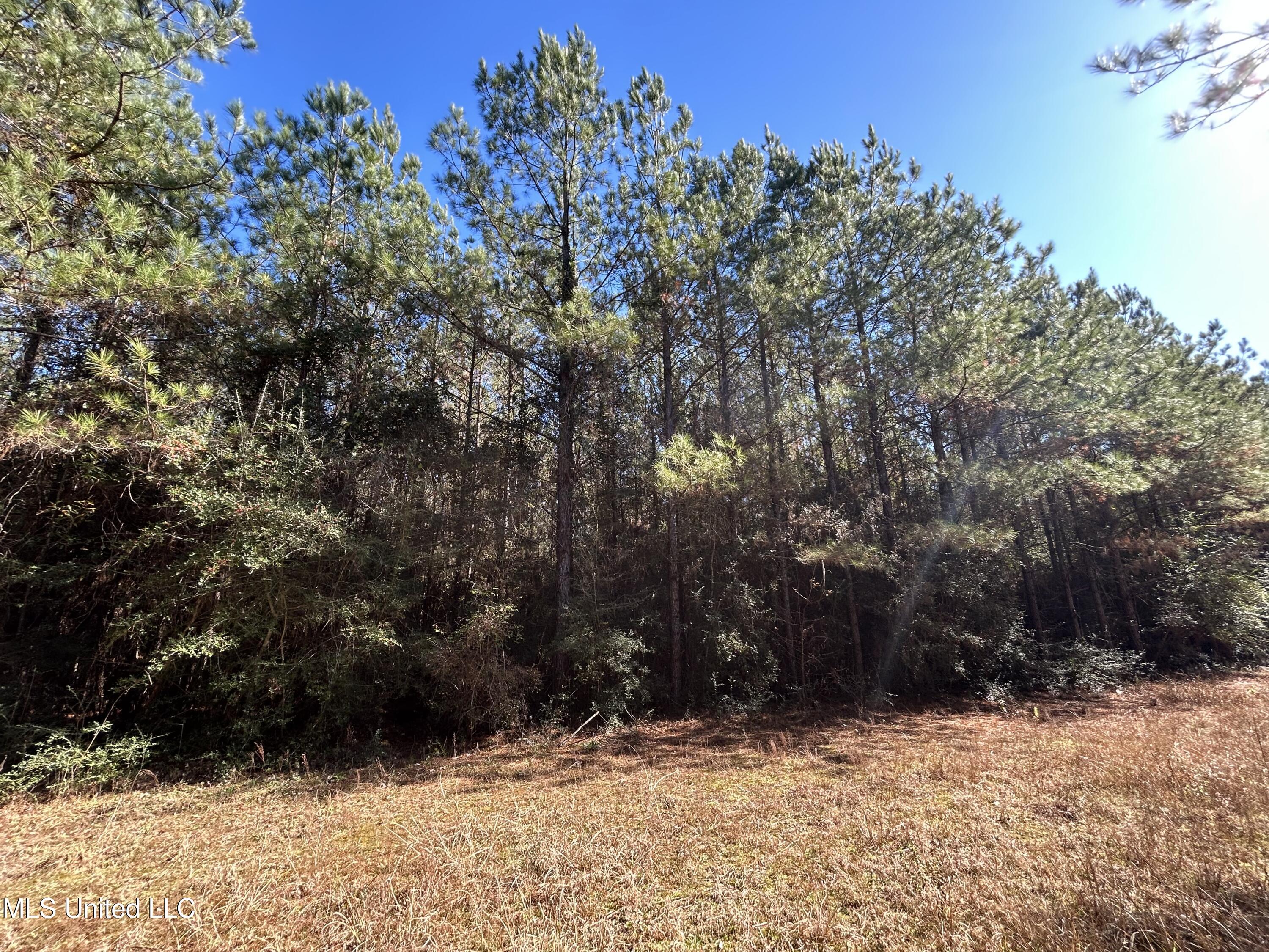 . Dwain Road Osyka, MS 39657 - Photo 28 of 31 IMG_1460