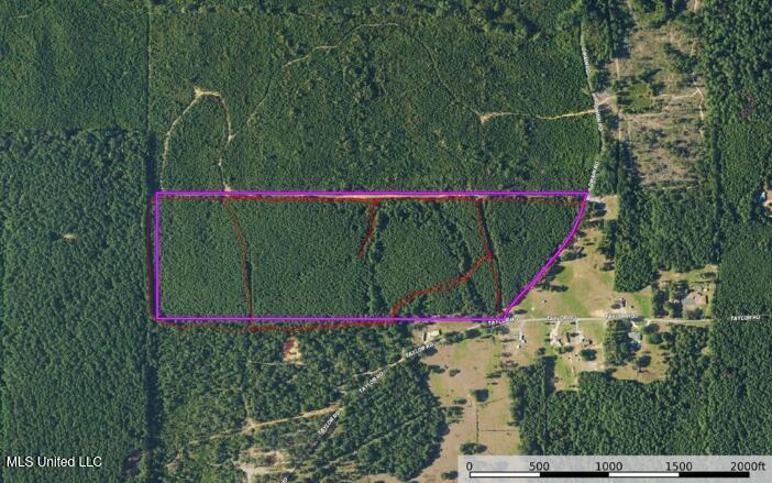 . Dwain Road Osyka, MS 39657 - Photo 30 of 31 Dwain Rd map