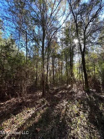 $250,000 | . Dwain Road, Osyka, MS 39657