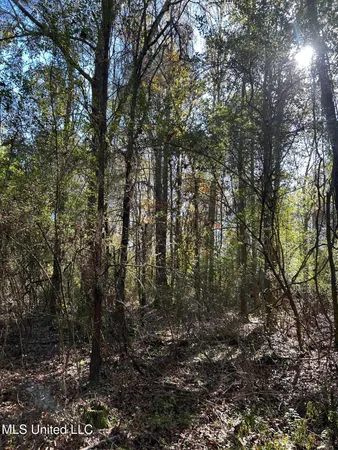 $250,000 | . Dwain Road, Osyka, MS 39657