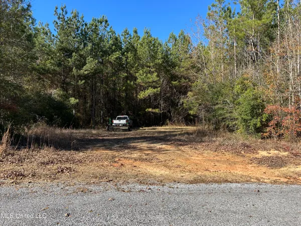 $250,000 | . Dwain Road, Osyka, MS 39657