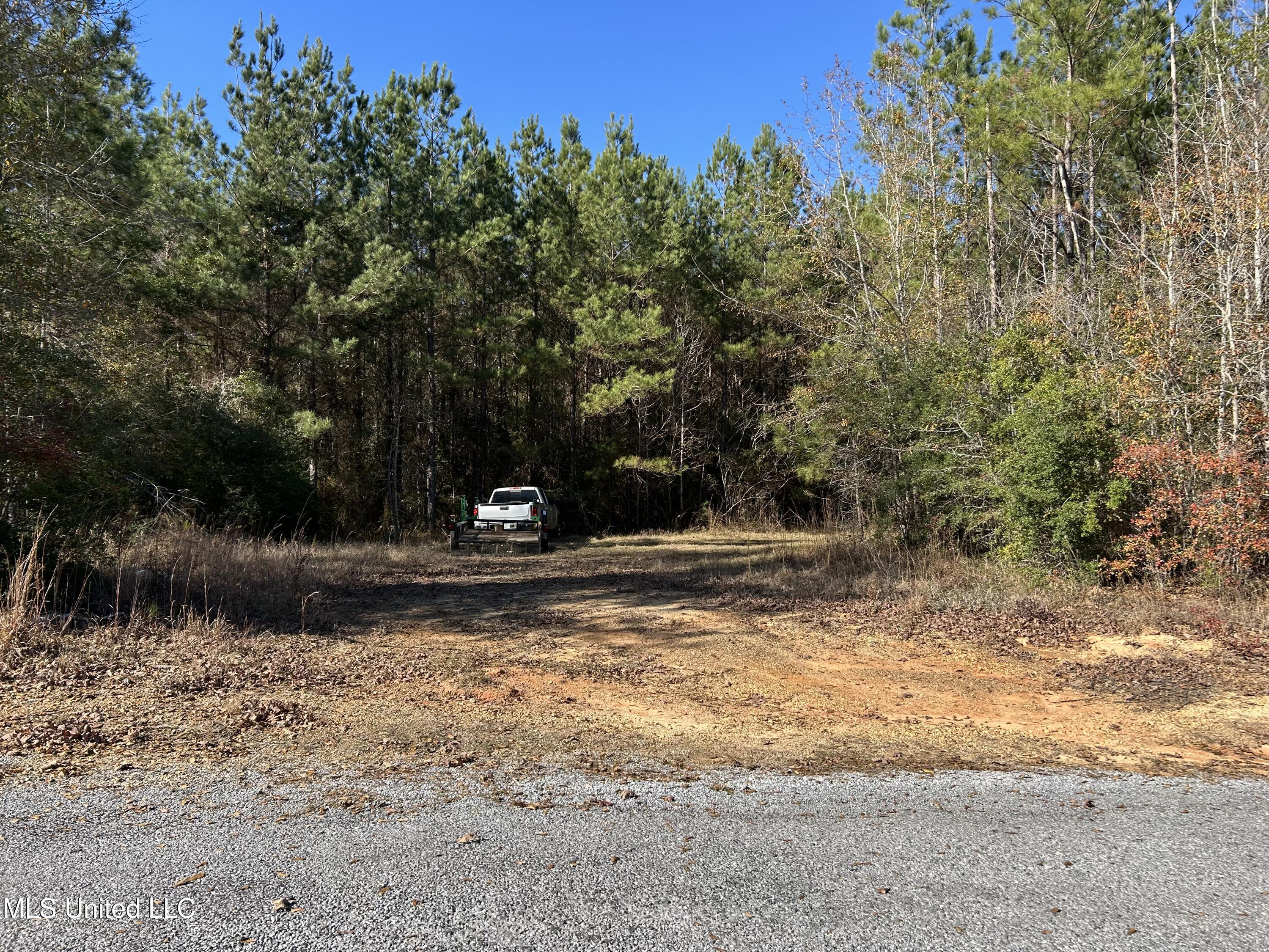 . Dwain Road Osyka, MS 39657 - Photo 5 of 31 IMG_1483
