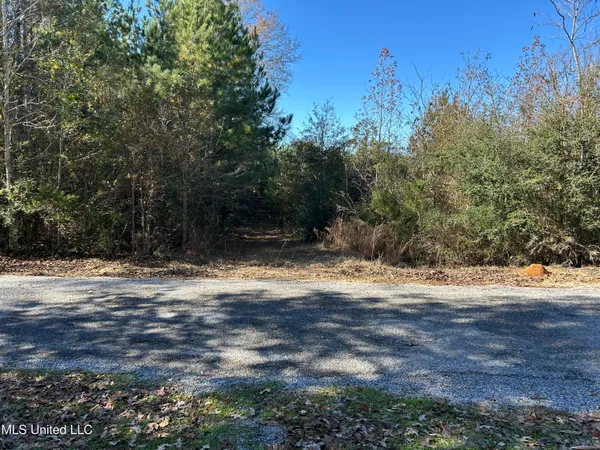 $250,000 | . Dwain Road, Osyka, MS 39657