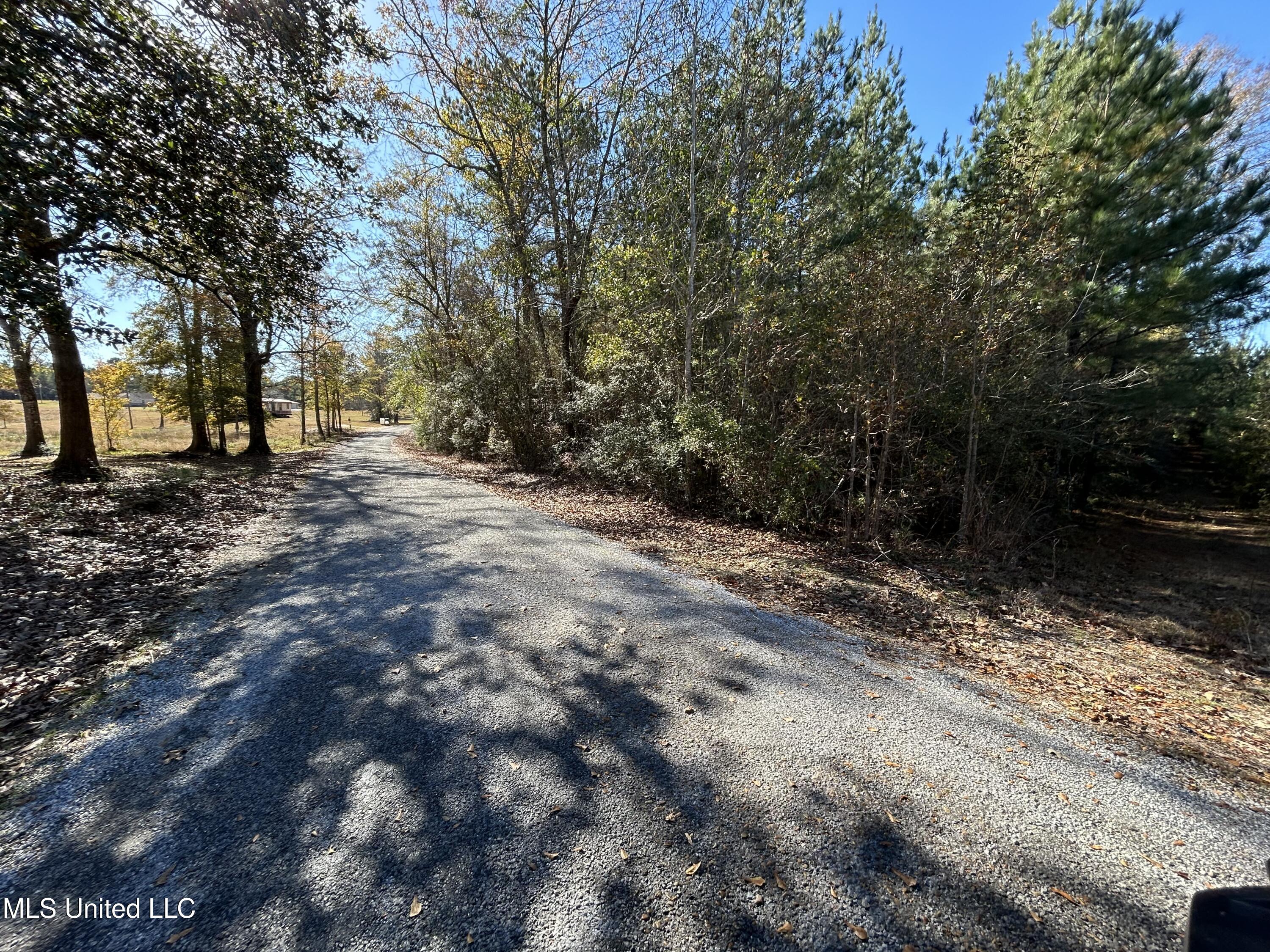 . Dwain Road Osyka, MS 39657 - Photo 8 of 31 IMG_1498