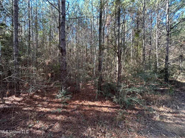 $250,000 | . Dwain Road, Osyka, MS 39657