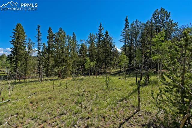 92 Old Squaw Road Como, CO 80432 - Photo 10 of 49 Gallery Image 10