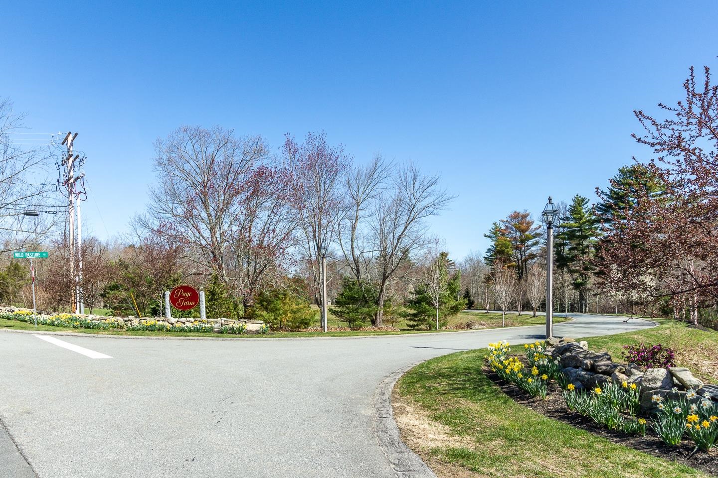 65 Wild Pasture Lane Atkinson, NH 03811 - Photo 3 of 47