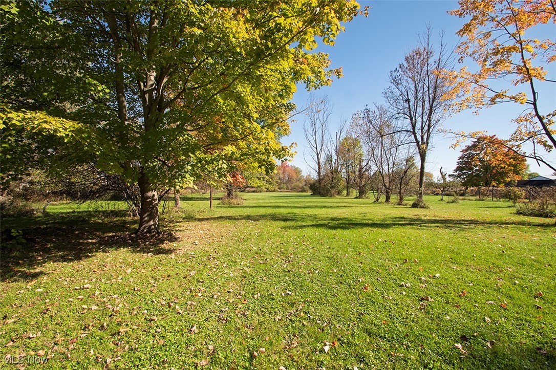 3555 Marks Road Medina, OH 44256 - Photo 16 of 19 View of yard