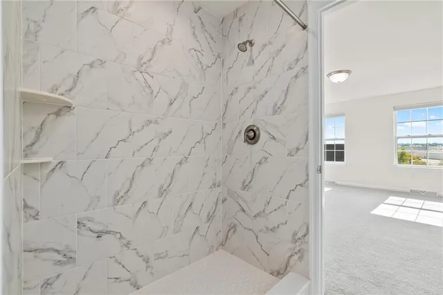 a bathroom with a shower