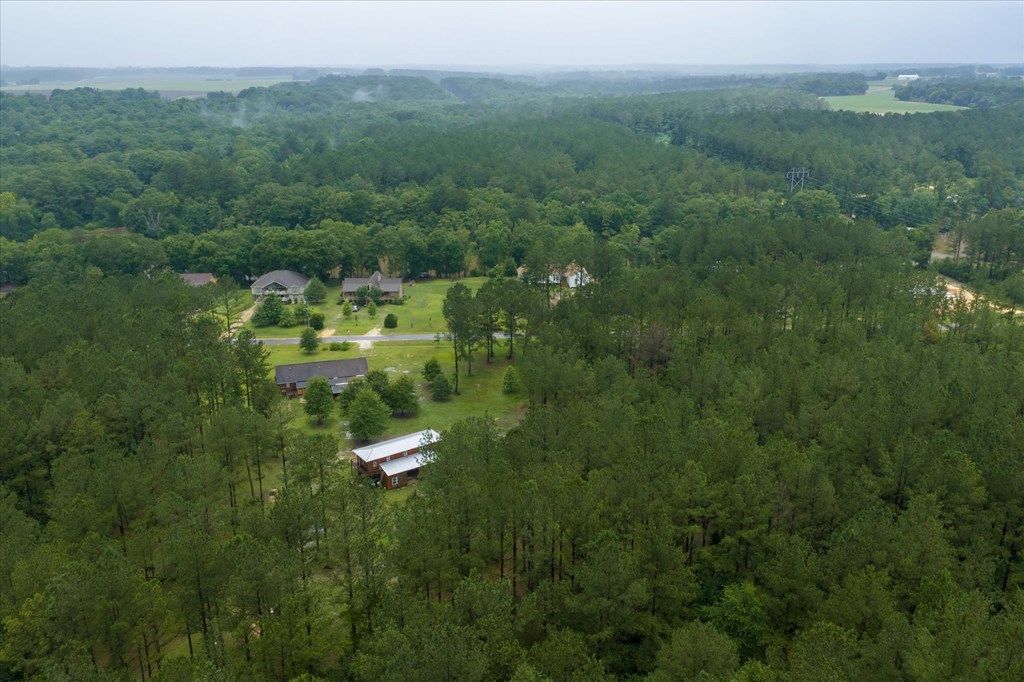 28786 Harbor Road Andalusia, AL 36421 - Photo 65 of 83