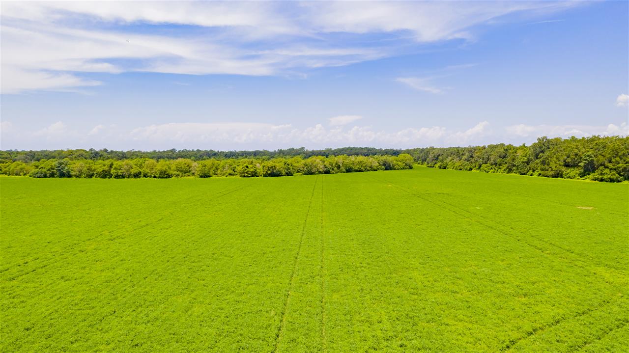 0 East Bay Road Foley, AL 36535 - Photo 9 of 10