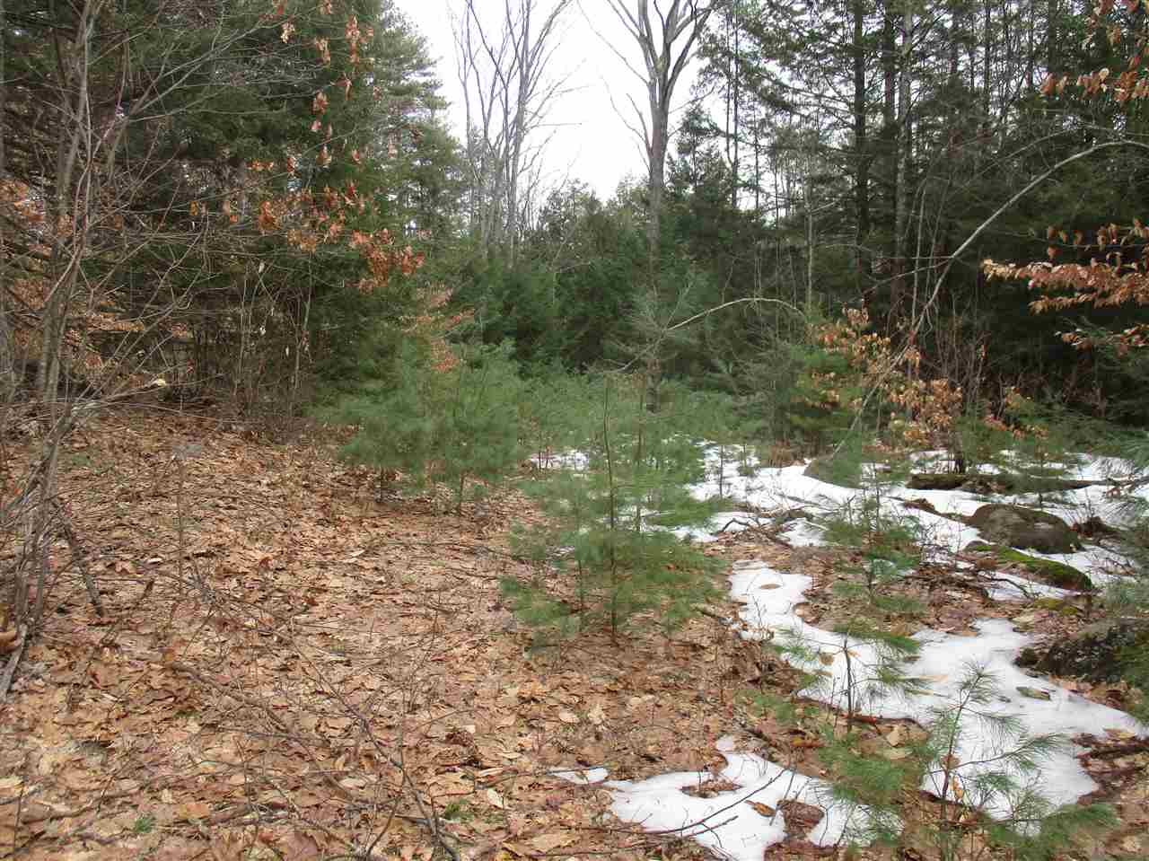 6-15-2 Salisbury Road Mont Vernon, NH 03057 - Photo 4 of 9 Gallery Image 4