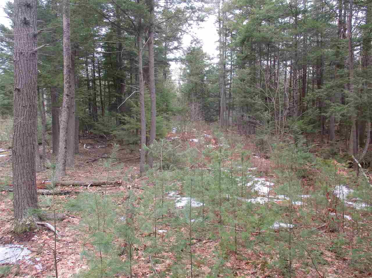 6-15-2 Salisbury Road Mont Vernon, NH 03057 - Photo 7 of 9 Gallery Image 7