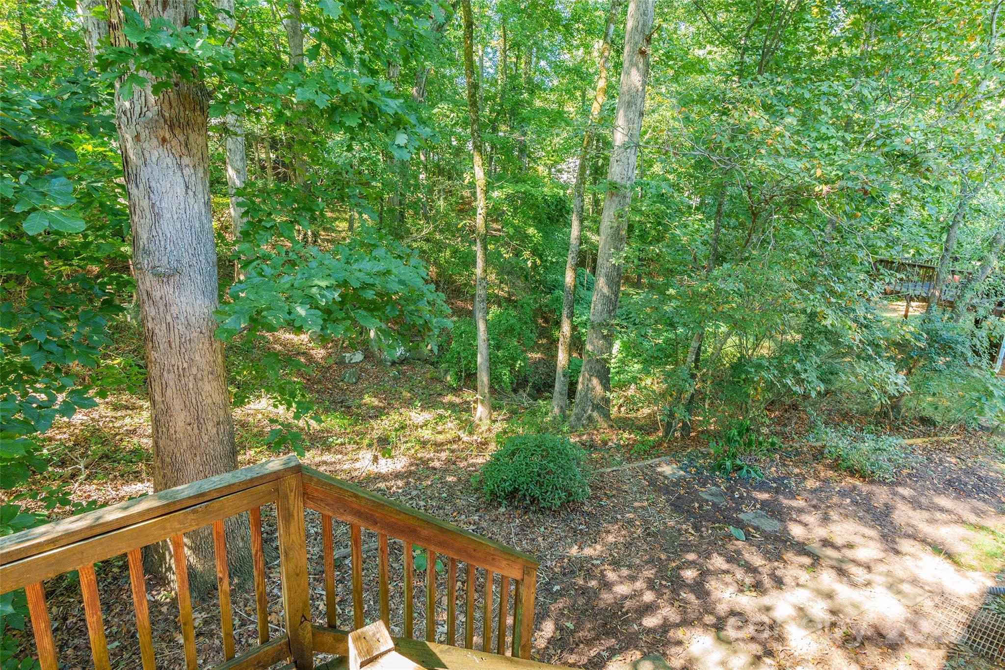 2177 Lookout Ridge Rock Hill, SC 29732 - Photo 30 of 34 a view of a forest with trees in front of a house