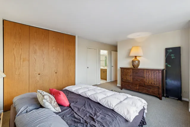 $225,000 | 5201 South Cornell Avenue, Unit 3E, Chicago, IL 60615